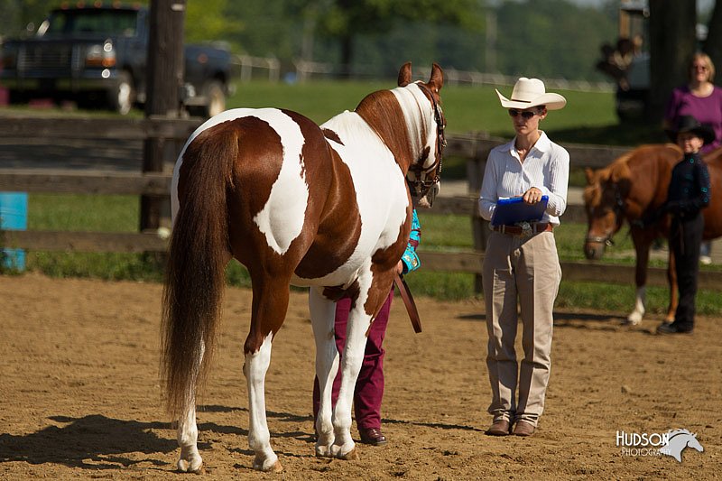 4H-2nd-Show-11_1049.jpg