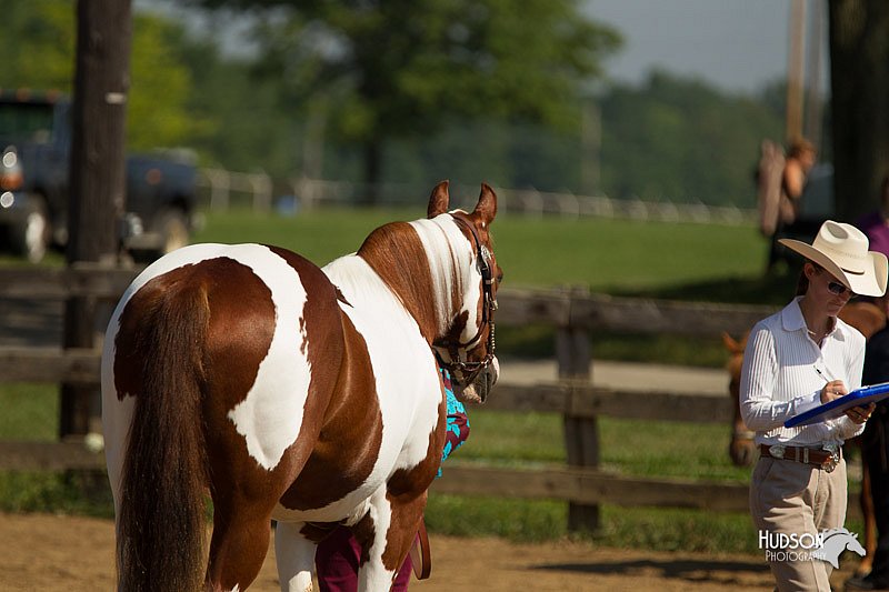 4H-2nd-Show-11_1050.jpg