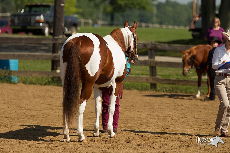 4H-2nd-Show-11_1051.jpg