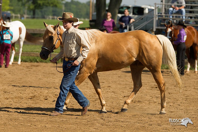 4H-2nd-Show-11_1052.jpg