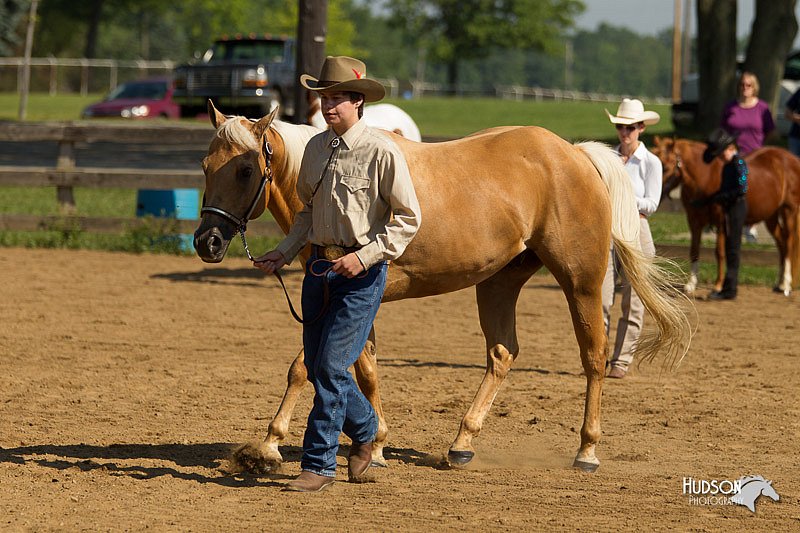 4H-2nd-Show-11_1053.jpg