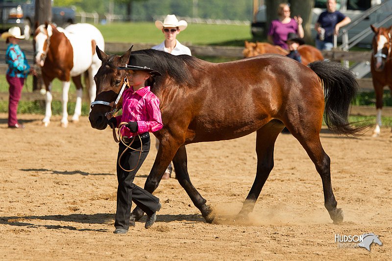 4H-2nd-Show-11_1057.jpg