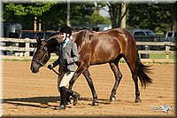 4H-2nd-Show-11_0804.jpg