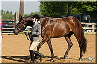 4H-2nd-Show-11_0805.jpg