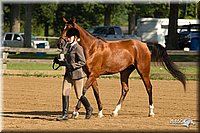 4H-2nd-Show-11_0814.jpg