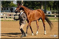 4H-2nd-Show-11_0815.jpg