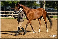 4H-2nd-Show-11_0816.jpg