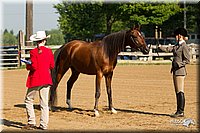 4H-2nd-Show-11_0819.jpg