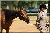 4H-2nd-Show-11_0822.jpg