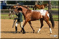 4H-2nd-Show-11_0825.jpg