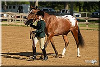 4H-2nd-Show-11_0828.jpg