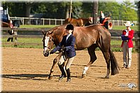 4H-2nd-Show-11_0829.jpg