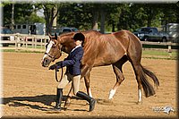 4H-2nd-Show-11_0831.jpg