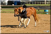 4H-2nd-Show-11_0834.jpg