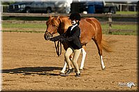 4H-2nd-Show-11_0835.jpg