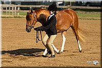 4H-2nd-Show-11_0837.jpg