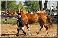 4H-2nd-Show-11_0844.jpg