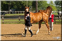 4H-2nd-Show-11_0845.jpg