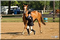 4H-2nd-Show-11_0846.jpg