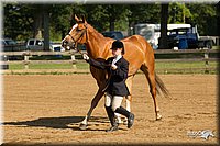 4H-2nd-Show-11_0848.jpg