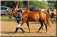 4H-2nd-Show-11_0850.jpg