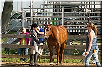 4H-2nd-Show-11_0854.jpg