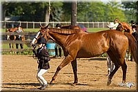 4H-2nd-Show-11_0856.jpg