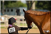 4H-2nd-Show-11_0861.jpg