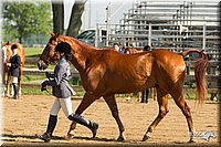 4H-2nd-Show-11_0862.jpg