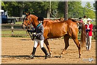 4H-2nd-Show-11_0864.jpg