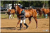 4H-2nd-Show-11_0865.jpg