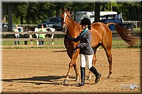 4H-2nd-Show-11_0866.jpg