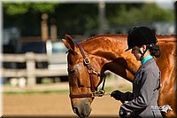 4H-2nd-Show-11_0867.jpg