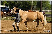 4H-2nd-Show-11_0868.jpg