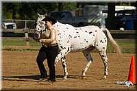 4H-2nd-Show-11_0901.jpg