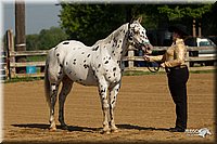 4H-2nd-Show-11_0906.jpg