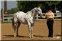 4H-2nd-Show-11_0907.jpg