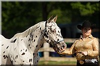 4H-2nd-Show-11_0908.jpg