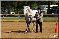 4H-2nd-Show-11_0911.jpg