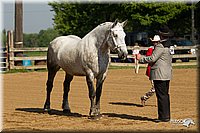 4H-2nd-Show-11_0916.jpg