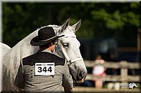 4H-2nd-Show-11_0917.jpg