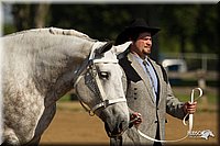 4H-2nd-Show-11_0920.jpg