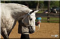 4H-2nd-Show-11_0921.jpg