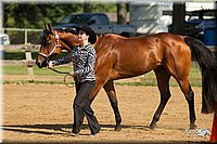 4H-2nd-Show-11_0933.jpg