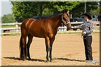 4H-2nd-Show-11_0937.jpg