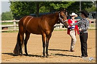 4H-2nd-Show-11_0938.jpg