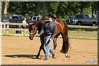 4H-2nd-Show-11_0944.jpg