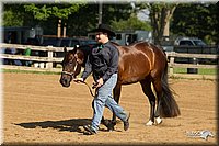 4H-2nd-Show-11_0946.jpg