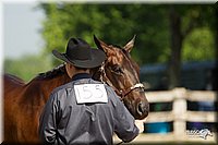 4H-2nd-Show-11_0950.jpg