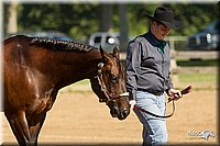 4H-2nd-Show-11_0952.jpg